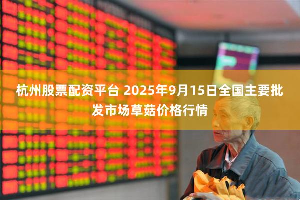 杭州股票配资平台 2025年9月15日全国主要批发市场草菇价格行情