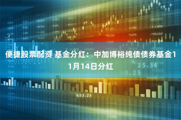 便捷股票配资 基金分红：中加博裕纯债债券基金11月14日分红