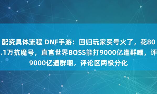 配资具体流程 DNF手游：回归玩家买号火了，花800RMB接盘12.1万抗魔号，直言世界BOSS能打9000亿遭群嘲，评论区两极分化